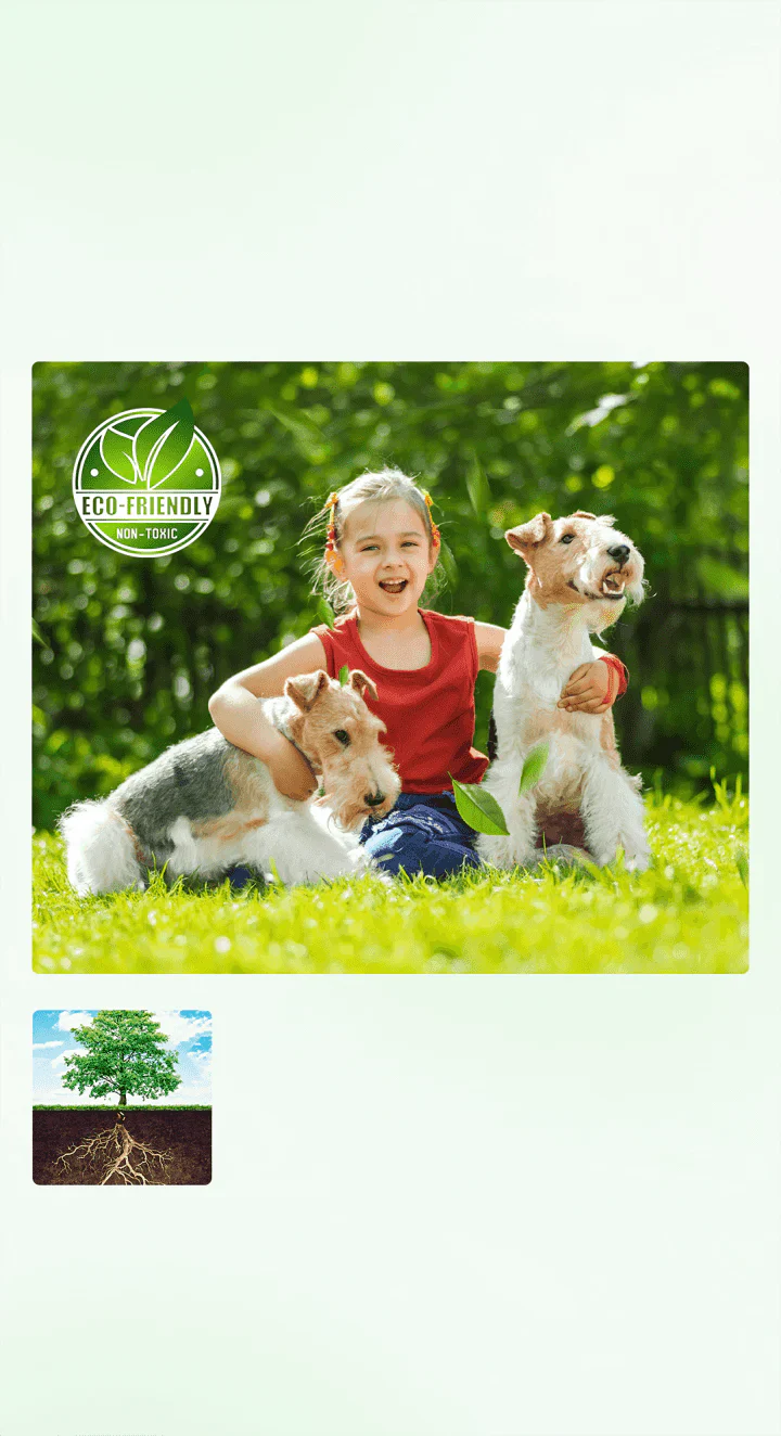 🌱 Cyclosinone Granular Weed Killer – Low-Toxicity Formula for Lawns & Gardens ( Pack of 3 )