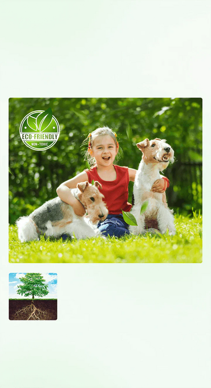 🌱 Cyclosinone Granular Weed Killer – Low-Toxicity Formula for Lawns & Gardens ( Pack of 3 )